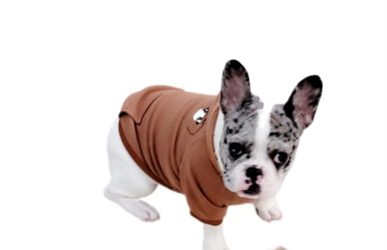 "Stay Cozy with Raw Paws Unlimited Hoodies: Top-Quality Products for You and Your Furry Friend"