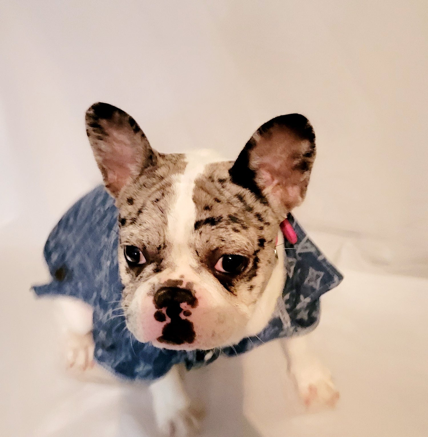 Featured Looks