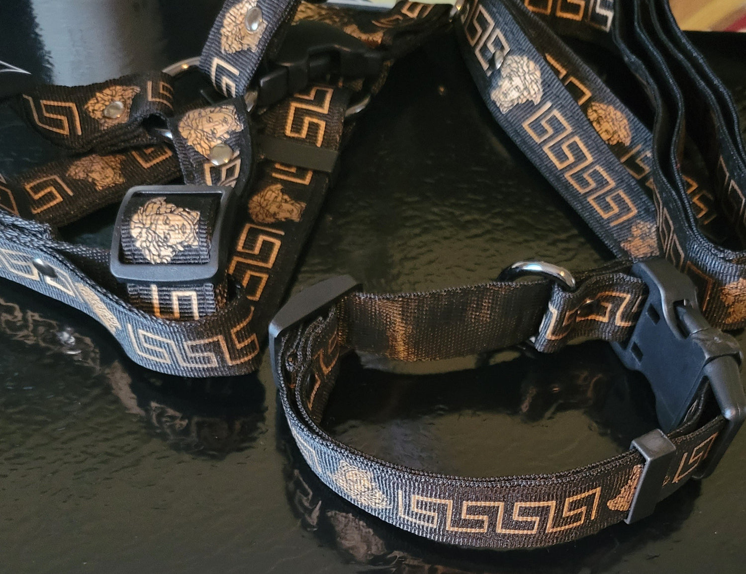 Collars Leash & Harness