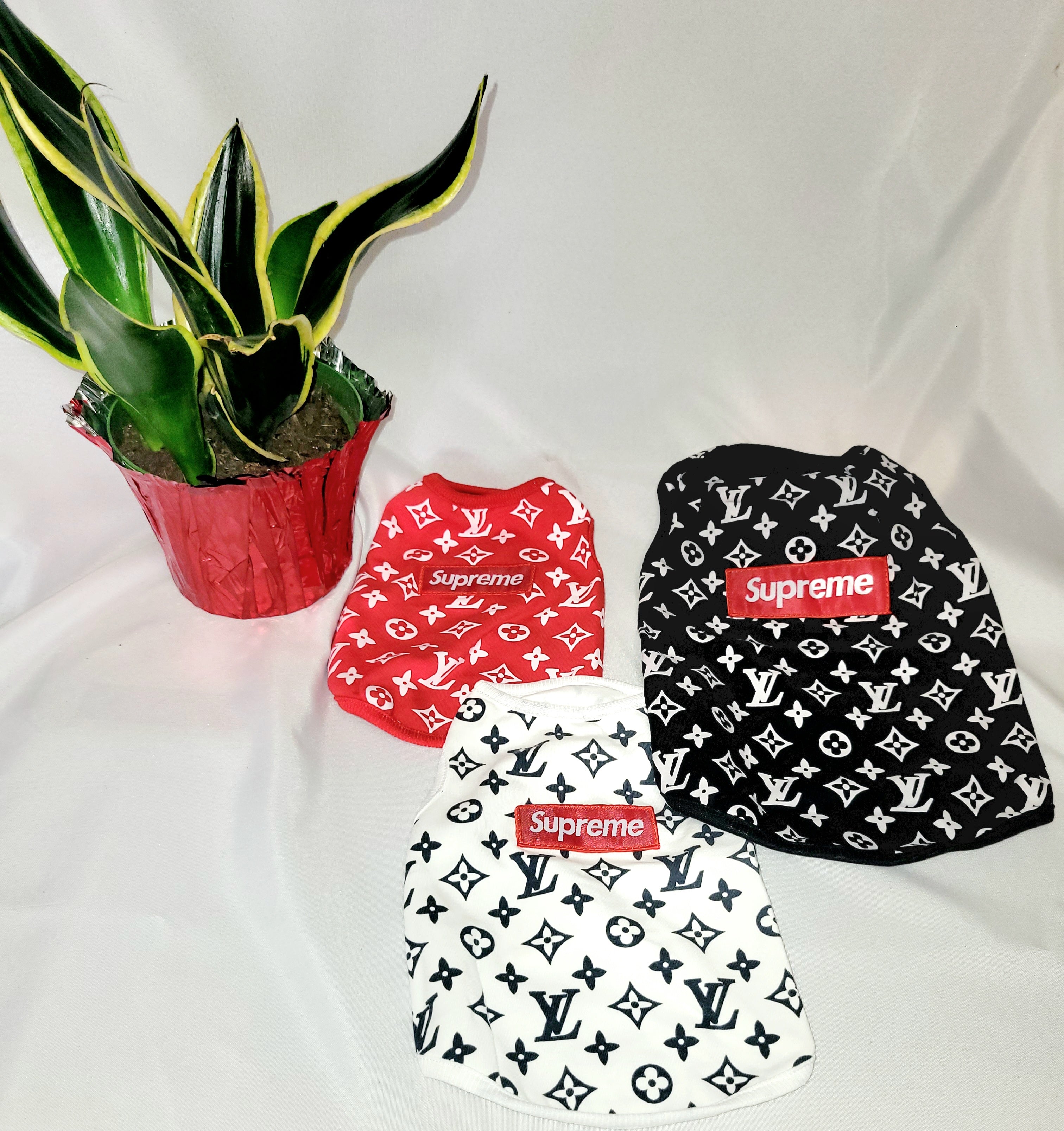 Supreme X Louis Vuitton Masked