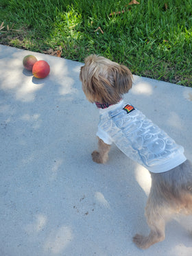 Dogior Summer Vest