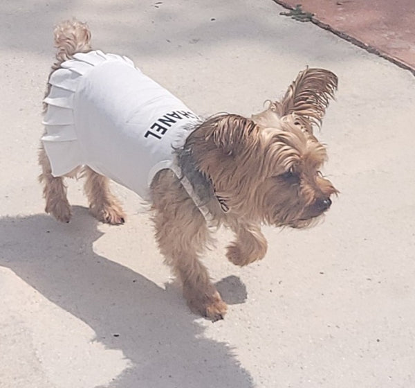 Chewnel Summer Time Tennis Dress