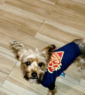 Chewy V Luxury inspired LV Dog Shirt