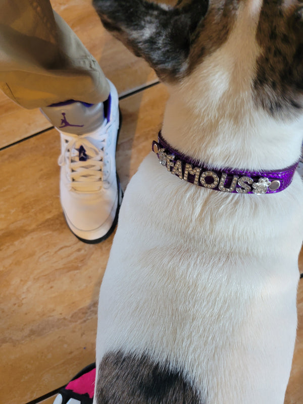 Custom Name Collar-Personalize Your Pup's Style with our Customizable Dog Collar - Up to 8 Letters or Charms!