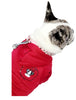 Stay Cozy with Raw Paws Unlimited Hoodies: Top-Quality Products for You and Your Furry Friend Raw Paws Unlimited Hoodies