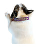 Custom Name Collar-Personalize Your Pup's Style with our Customizable Dog Collar - Up to 8 Letters or Charms!