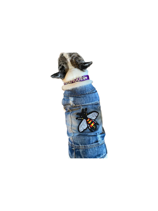 Raw Paws Unlimited- Jean Vest