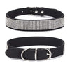 Bling Collars - The Perfect Accessory for Your Furry Friend To sparkle and shine!