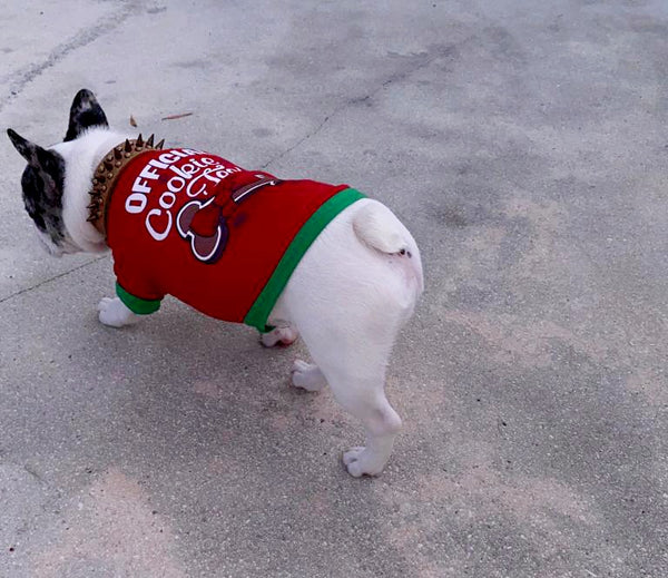 Holiday Dog Shirt Official Cookie Tester