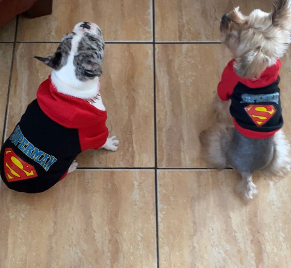 Super Dog Hoodie