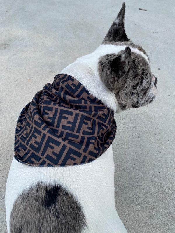 Luxury Inspired Pawndi Dog Bandana