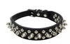 Spiked Collars