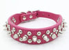 Spiked Collars
