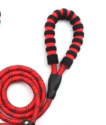 Raw Paws Unlimited- 5ft Leash