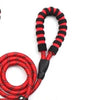 Raw Paws Unlimited- 5ft Leash