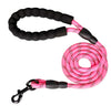 Raw Paws Unlimited- 5ft Leash