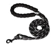 Raw Paws Unlimited- 5ft Leash