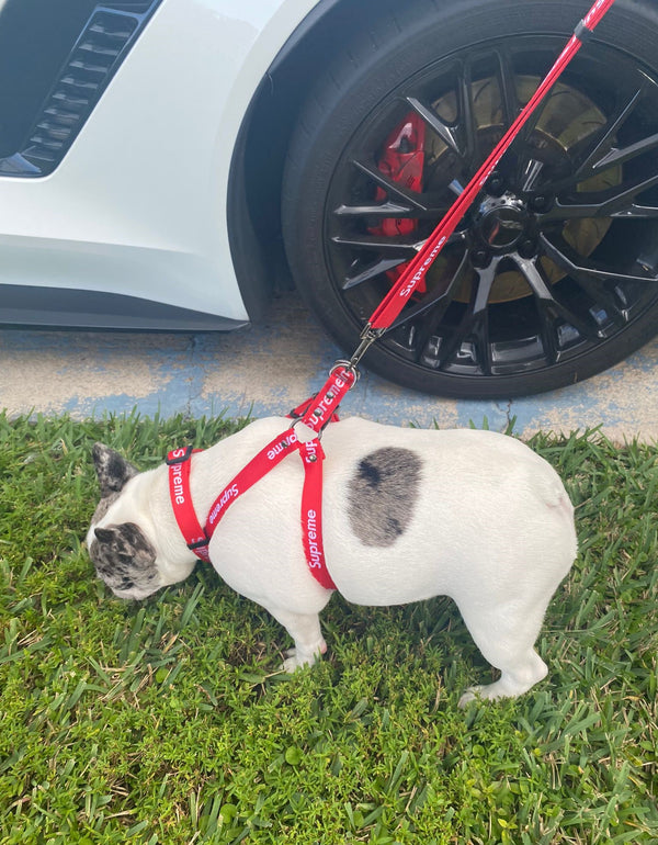 Pupreme-Luxury inspired Collar Harness & Leash Trio