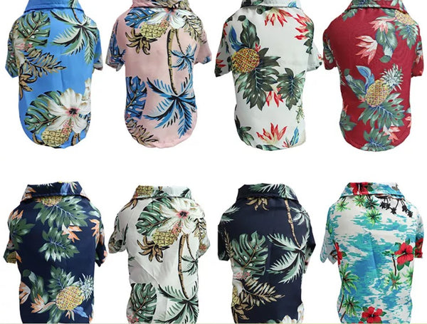 Tropical Dog Shirt