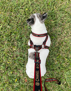 Chewnel-Luxury Inspired Collar Harness & Leash Trio: The Ultimate Dog Accessory Set for Fashionable Pups!Chewnel-Luxury inspired Collar Harness & Leash Trio