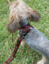 Chewnel-Luxury Inspired Collar Harness & Leash Trio: The Ultimate Dog Accessory Set for Fashionable Pups!